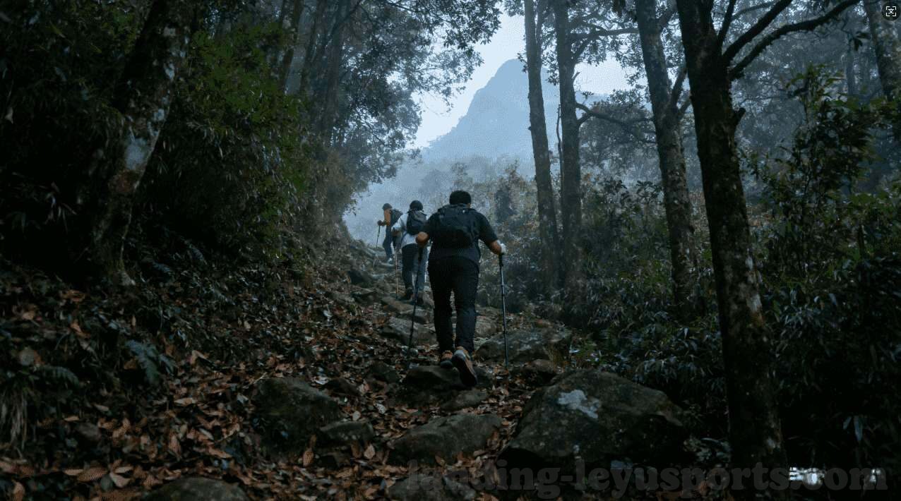 世界杯决赛吐槽-世界杯决赛吐槽，激情与遗憾交织的盛宴